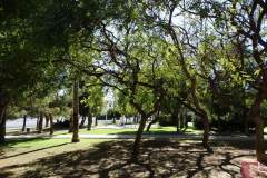 DSC04040