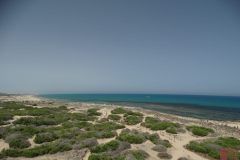 DSC05987