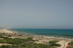 DSC05990