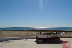 DSC09385_wm
