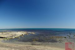 DSC09390_wm