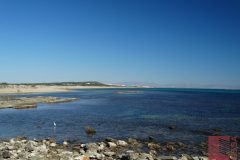 DSC09392_wm