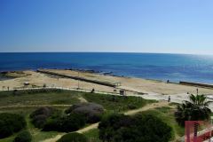 DSC09431_wm