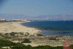 DSC09433_wm