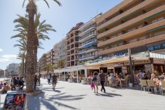 SolMar-web-36