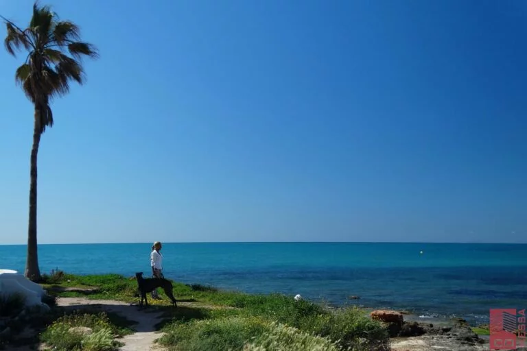 Torrevieja La Veleta