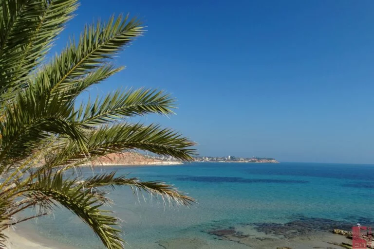 Cabo Roig