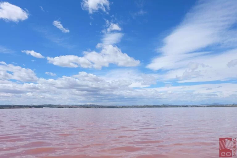 Laguna Rosa