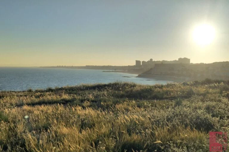 Campoamor