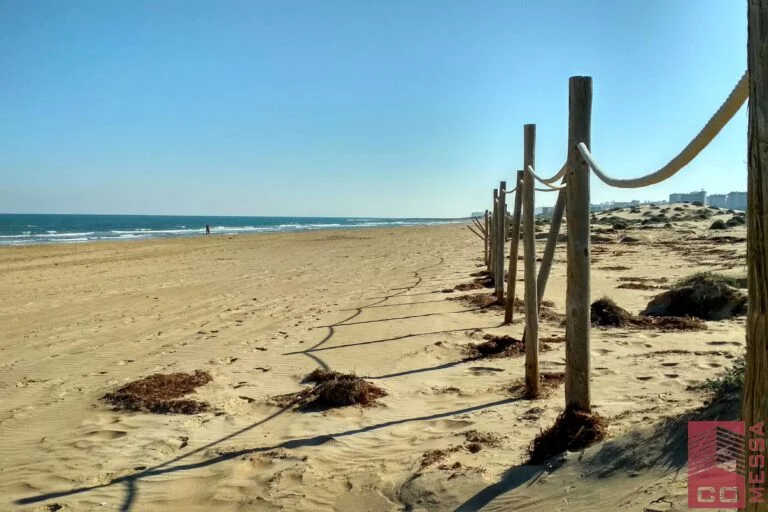 La Mata